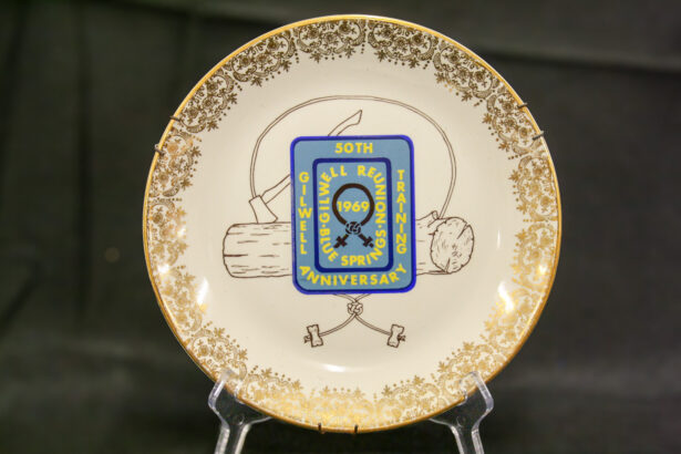 Gilwell-1969 Commemorative Plate