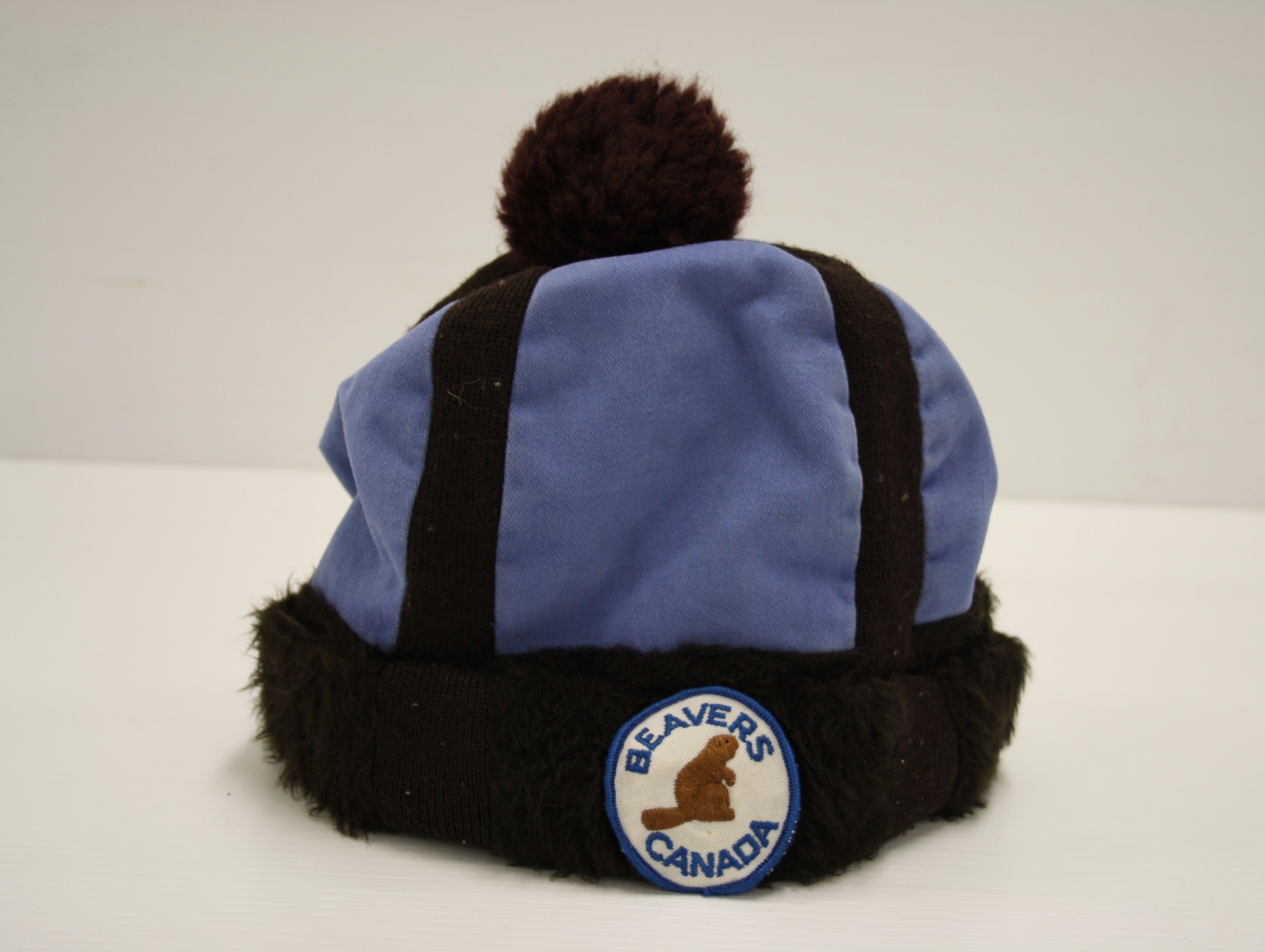 Beavers Winter Hat
