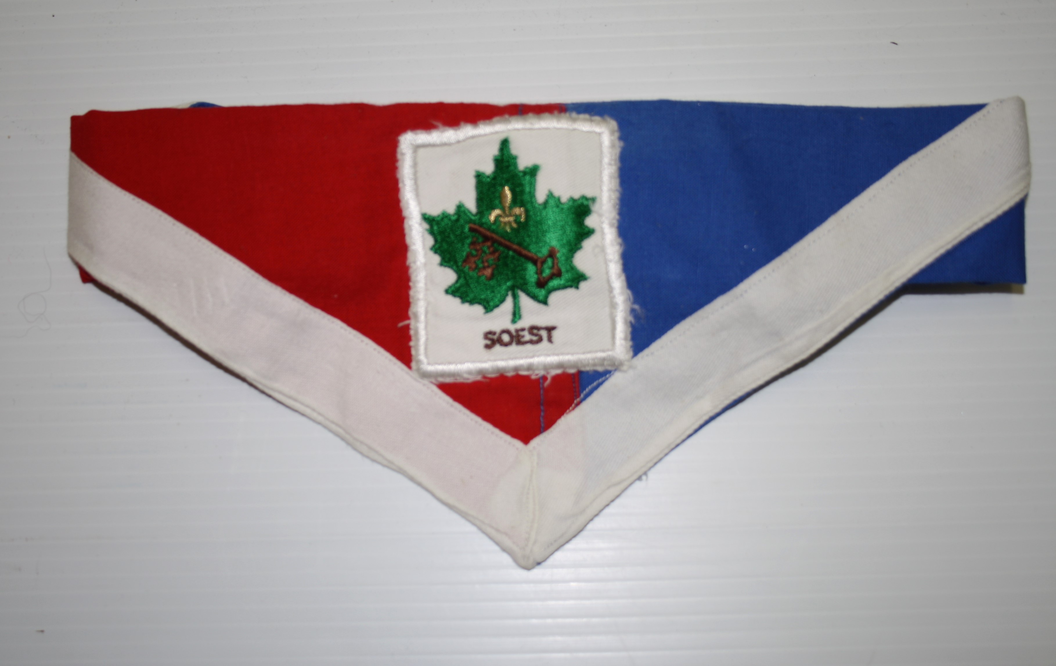 Soest Badge on Necker