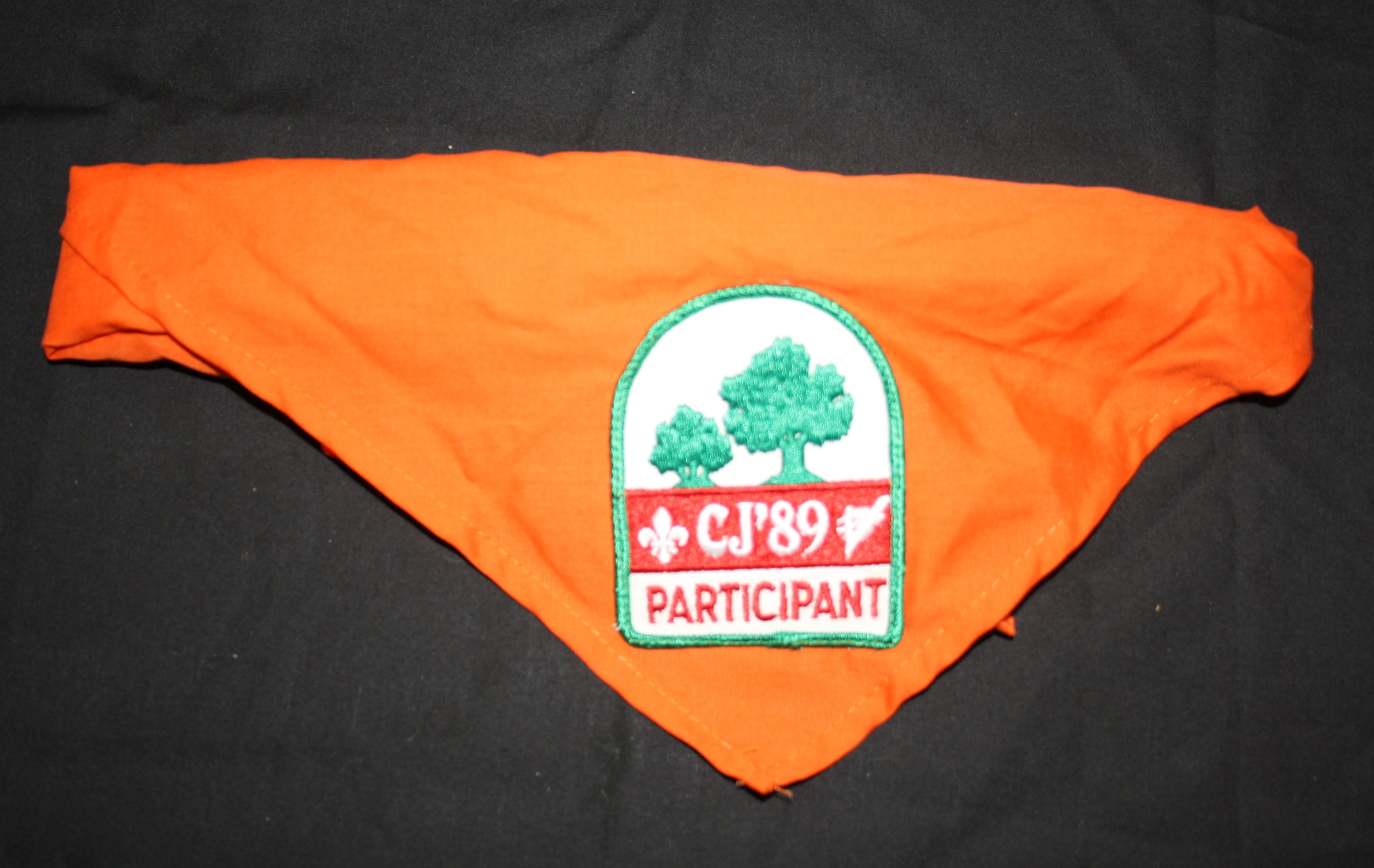 Canadian Jamboree '89 Participant Necker