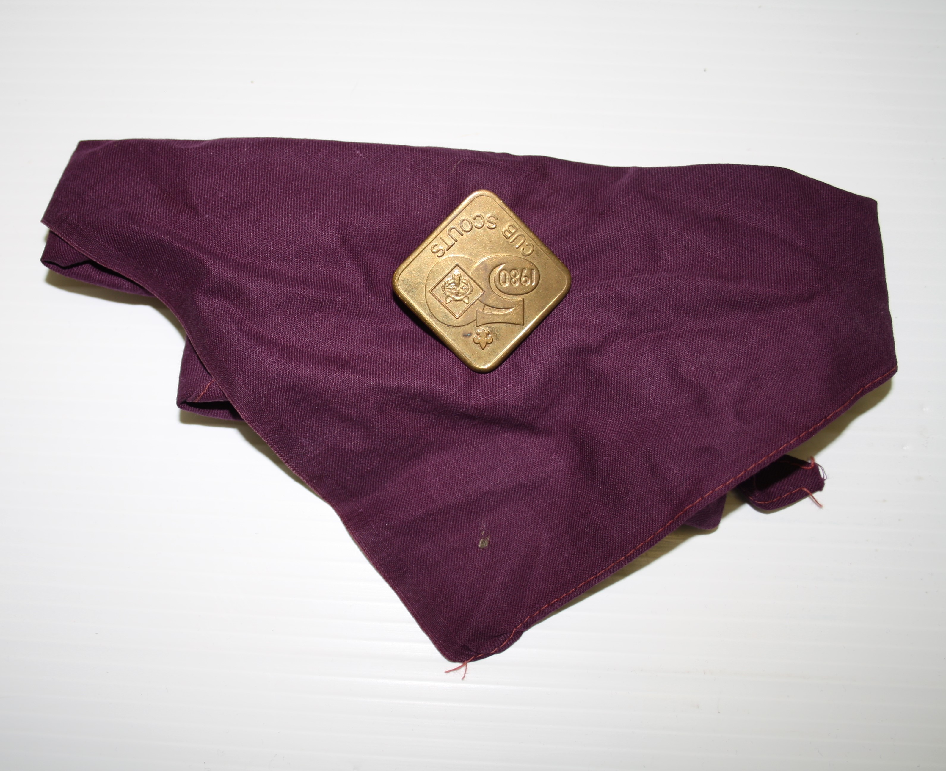 Wine Necker with Cub Scout Woggle