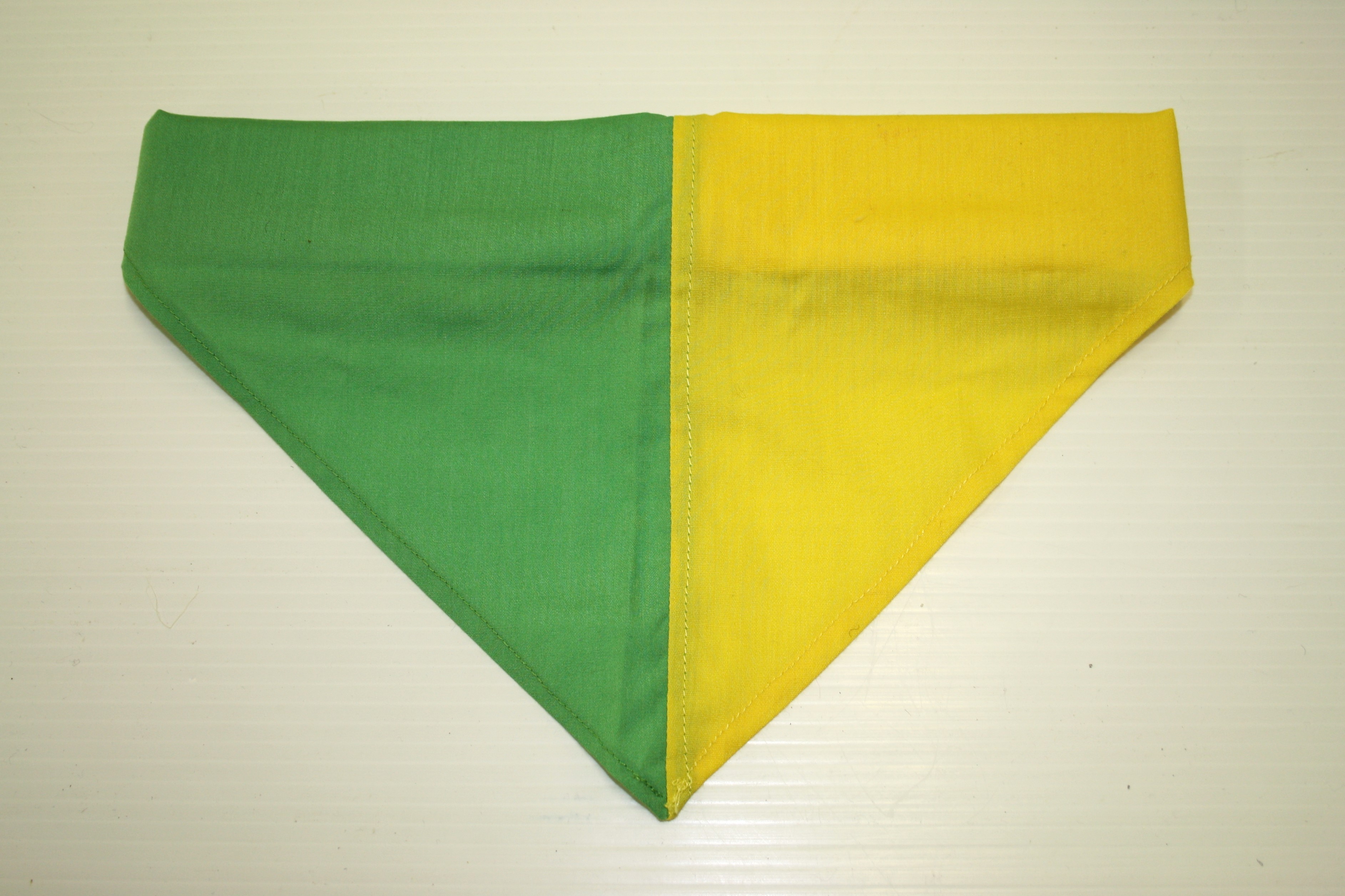 1st Elginburg Necker